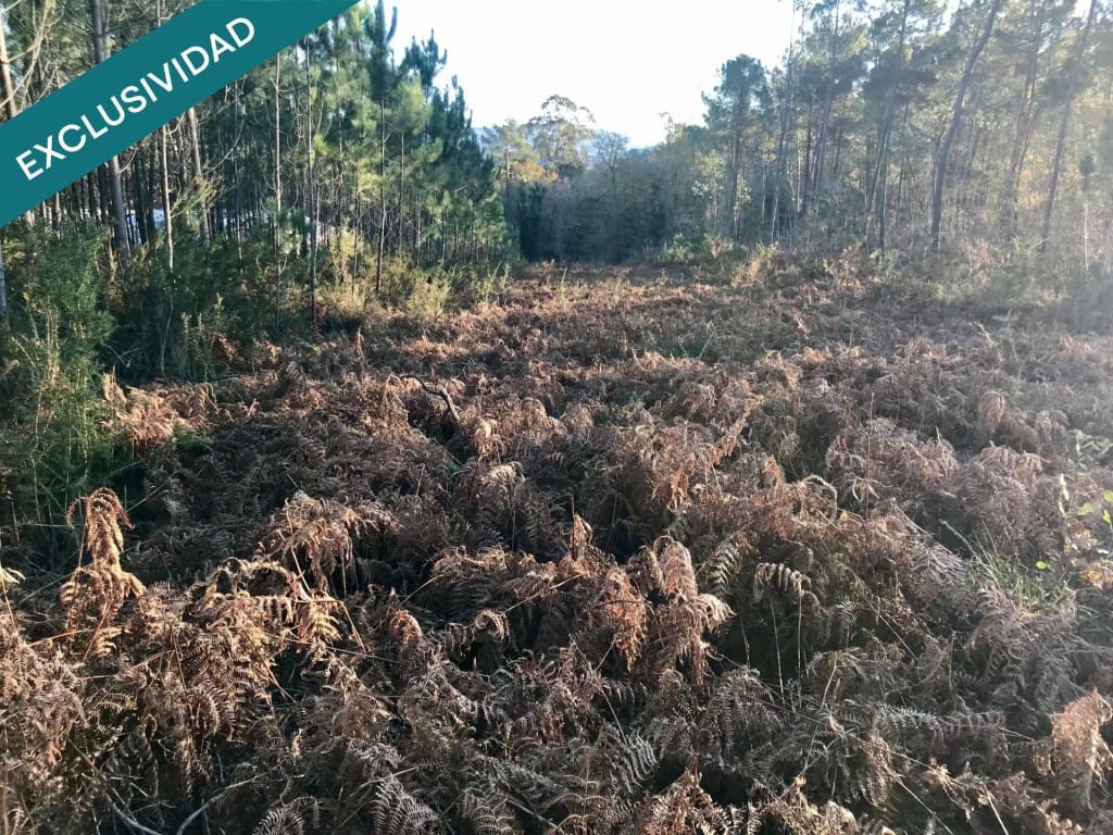 Bouwgrond te koop in Noia - € 50.000 (Ref: 9518768)