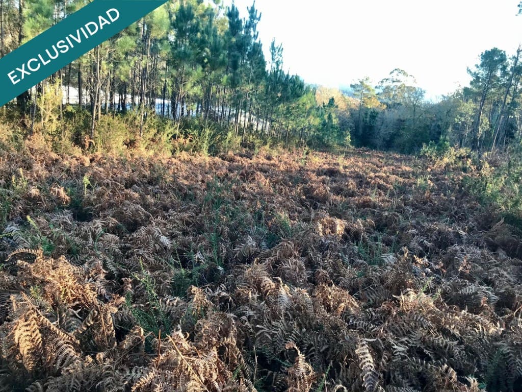 Bouwgrond te koop in Noia - € 50.000 (Ref: 9518768)