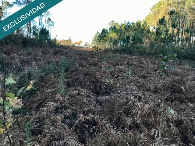 Bouwgrond te koop in Noia - € 50.000 (Ref: 9518768)