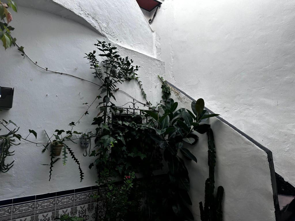 1 bedroom Apartment for sale in Arcos de la Frontera - € 46,000 (Ref: 9533795)