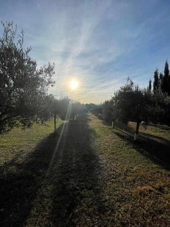 2 bedroom Finca/Country House for sale in Jerez de la Frontera - € 272,500 (Ref: 9533797)