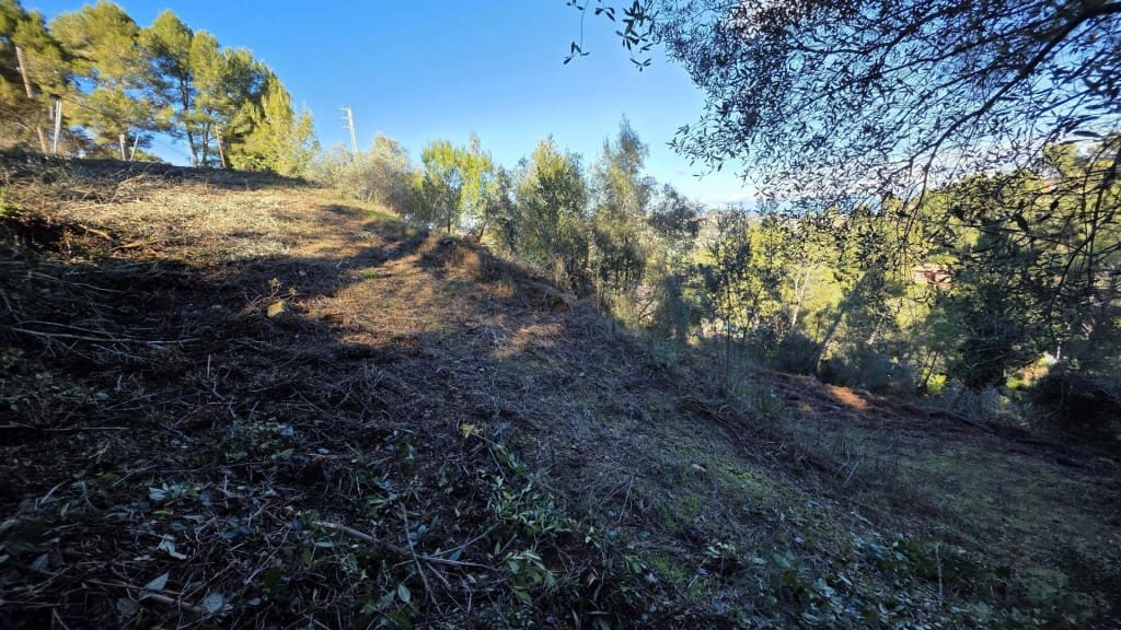 Building Plot for sale in Cervello - € 89,000 (Ref: 9540975)