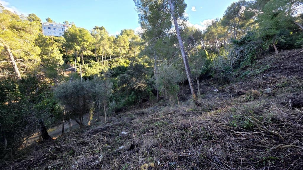 Building Plot for sale in Cervello - € 89,000 (Ref: 9540975)
