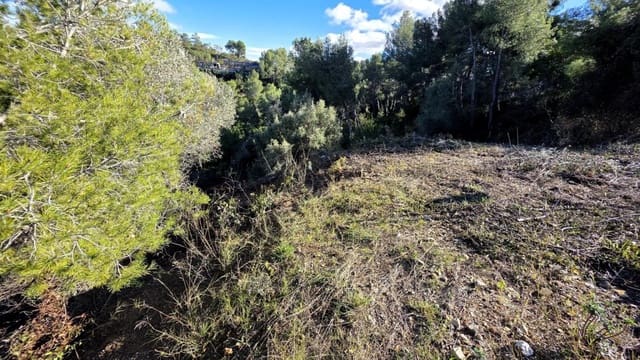 Building Plot for sale in Cervelló - € 89,000 (Ref: 9540975)