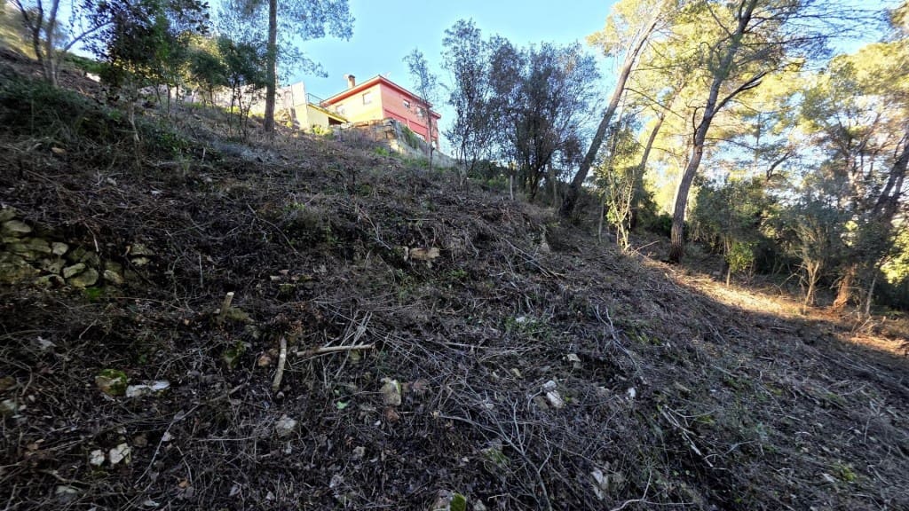 Building Plot for sale in Cervello - € 89,000 (Ref: 9540975)