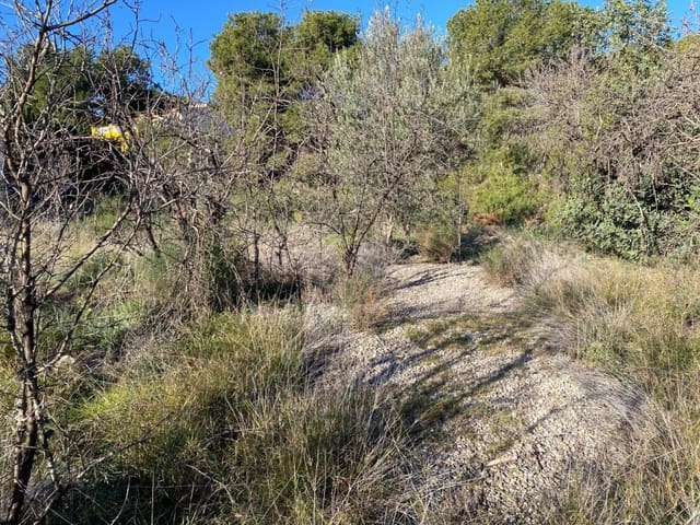 Terreno para Construção para venda em Casinos - 85 000 € (Ref: 9540980)