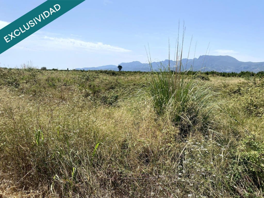 Terreno Não Urbanizado para venda em Riola - 18 000 € (Ref: 9540981)