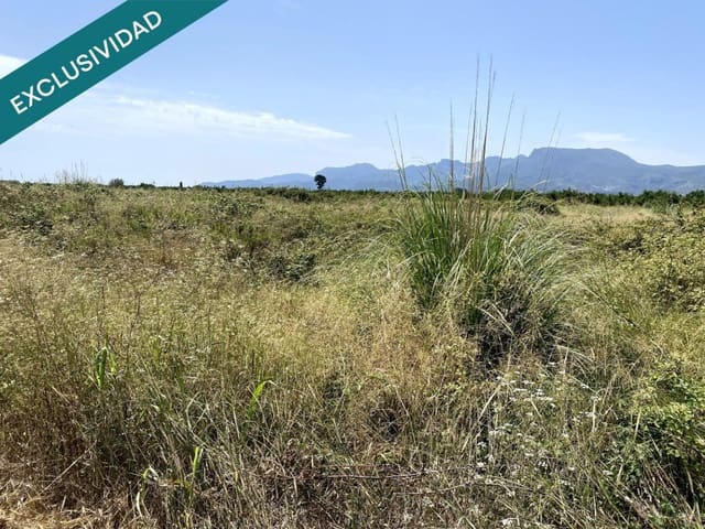 Terreno Não Urbanizado para venda em Riola - 18 000 € (Ref: 9540981)