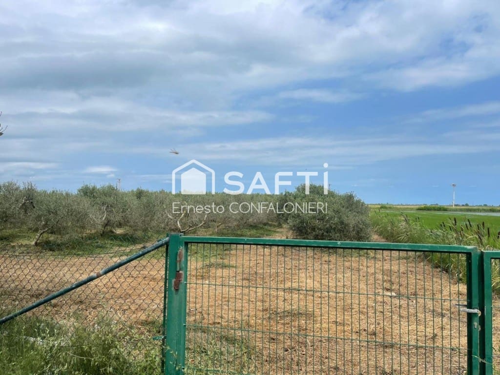 Terre non Aménagée à vendre à Amposta - 129 000 € (Ref: 9543410)