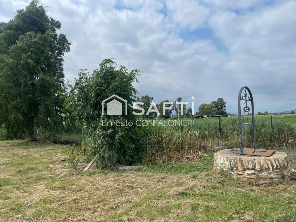 Terre non Aménagée à vendre à Amposta - 129 000 € (Ref: 9543410)