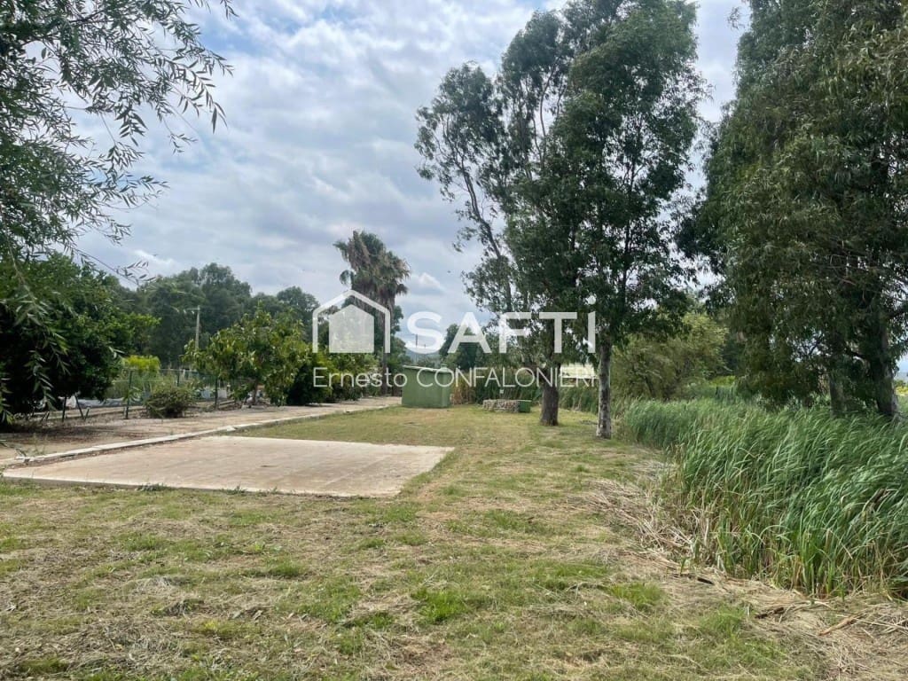 Terre non Aménagée à vendre à Amposta - 129 000 € (Ref: 9543410)