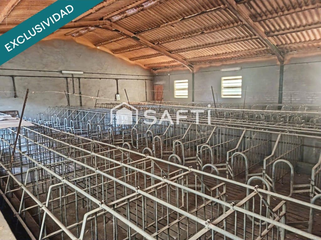 Rakentamaton maa myytävänä paikassa Los Navalucillos - 99 000 € (Ref: 9551221)