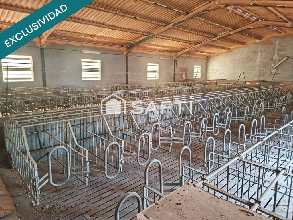 Rakentamaton maa myytävänä paikassa Los Navalucillos - 99 000 € (Ref: 9551221)