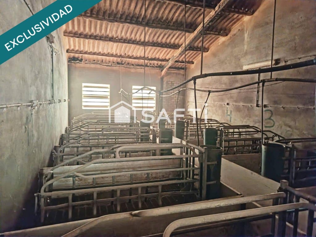 Rakentamaton maa myytävänä paikassa Los Navalucillos - 99 000 € (Ref: 9551221)