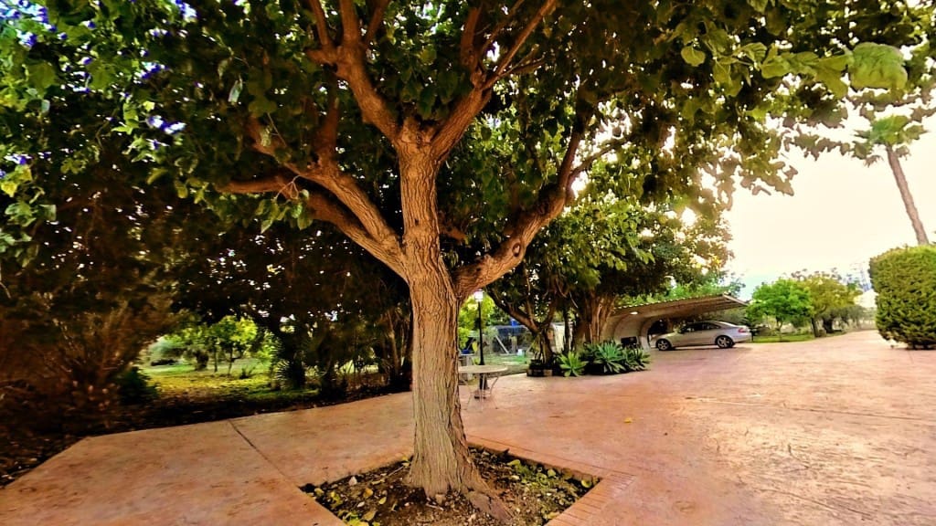 4 Zimmer Finca/Landgut zu verkaufen in Novelda mit Pool - 420.000 € (Ref: 9568355)