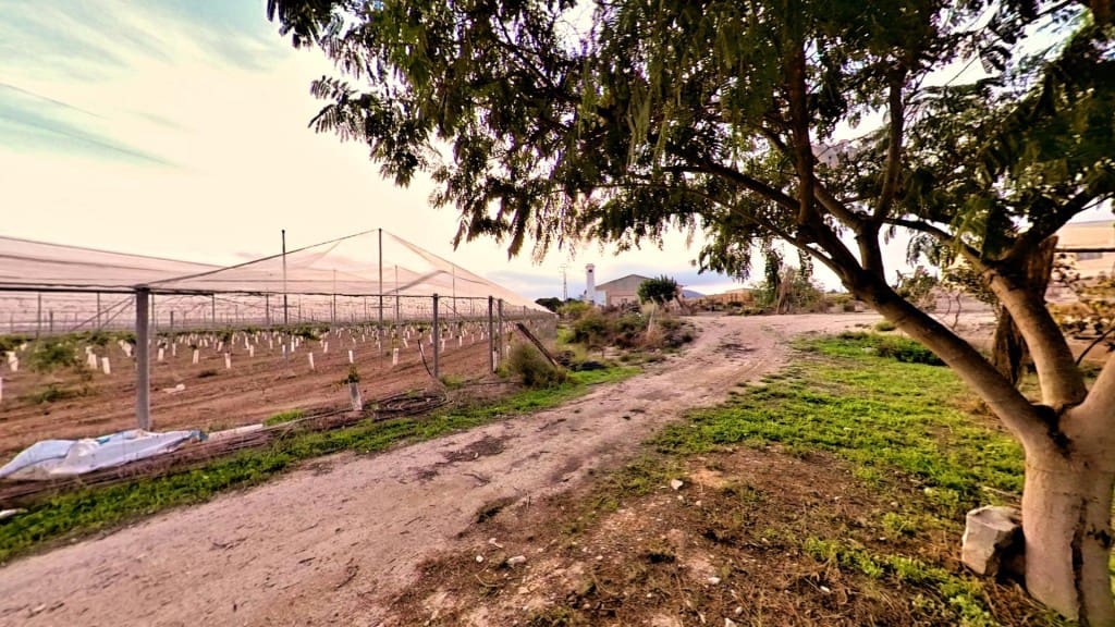 4 Zimmer Finca/Landgut zu verkaufen in Novelda mit Pool - 420.000 € (Ref: 9568355)