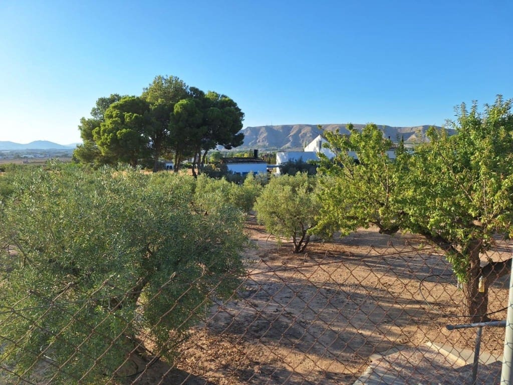 Finca/Casa Rural de 8 habitaciones en Villena en venta con piscina garaje - 205.000 € (Ref: 9594933)