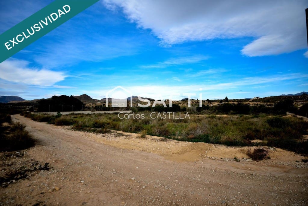 Undeveloped Land for sale in San Vicente / Sant Vicent del Raspeig - € 125,000 (Ref: 9594953)