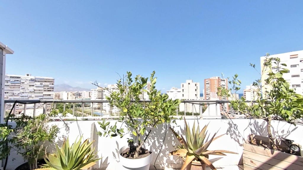 1 Zimmer Penthouse zu verkaufen in Alicante / Alacant Stadt mit Pool Garage - 319.000 € (Ref: 9594963)
