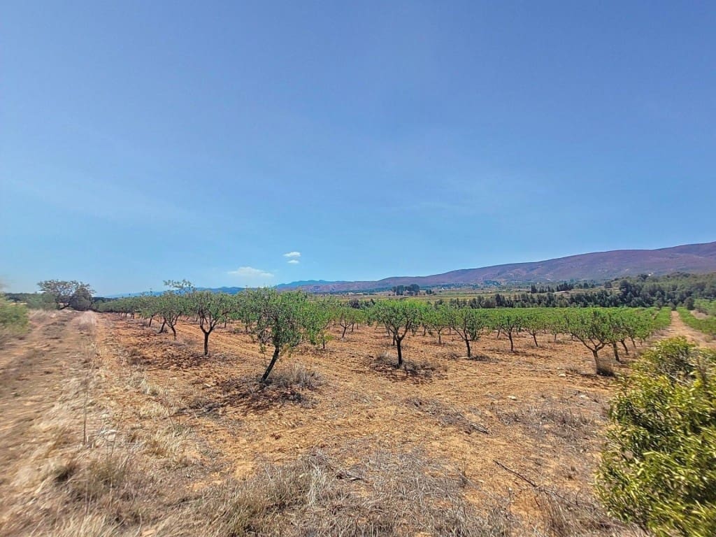 Grunde uden byggetilladelser til salg i Ontinyent - € 740.000 (Ref: 9594978)