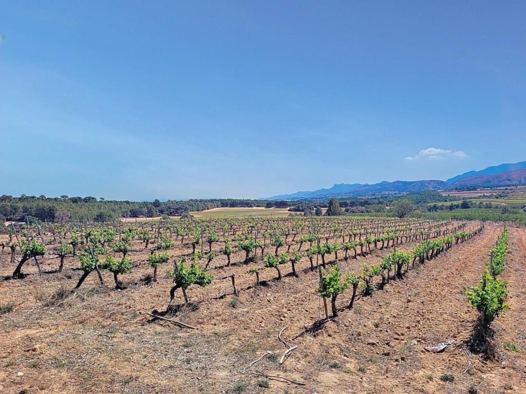 Grunde uden byggetilladelser til salg i Ontinyent - € 740.000 (Ref: 9594978)