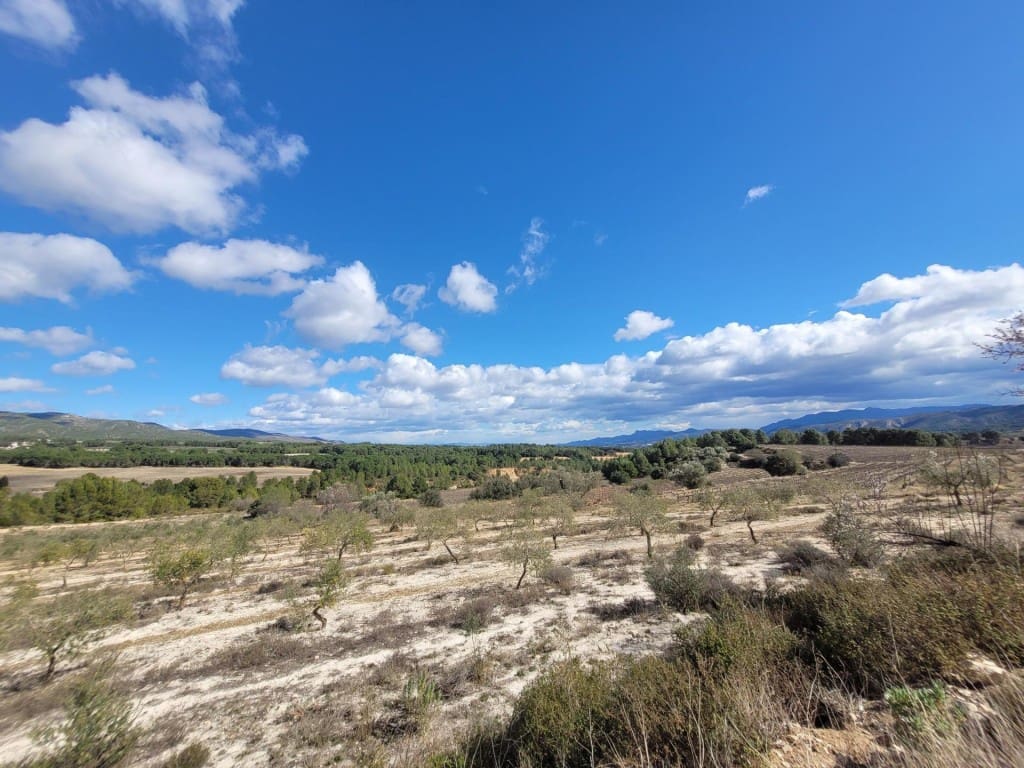 Grunde uden byggetilladelser til salg i Ontinyent - € 740.000 (Ref: 9594978)