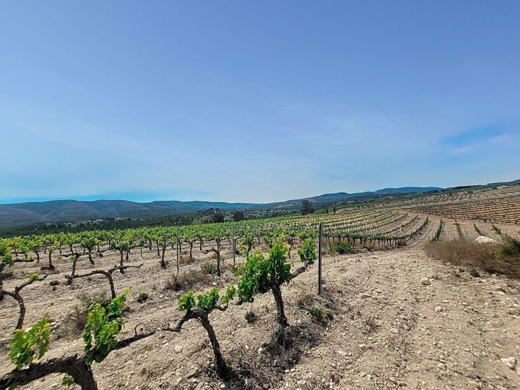 Grunde uden byggetilladelser til salg i Ontinyent - € 740.000 (Ref: 9594978)