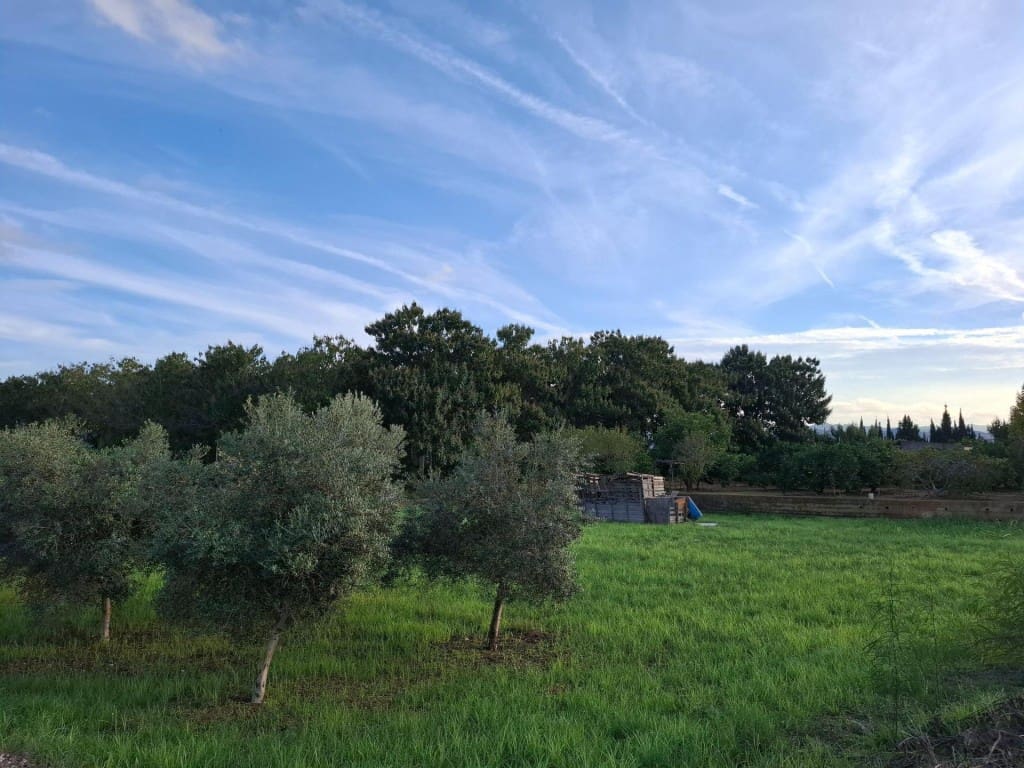 3 bedroom Finca/Country House for sale in Cerda with pool - € 145,000 (Ref: 9594989)