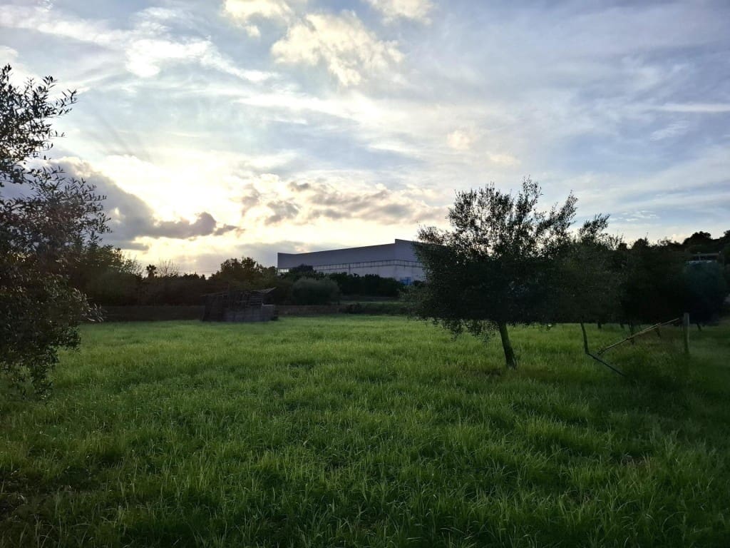 3 bedroom Finca/Country House for sale in Cerda with pool - € 145,000 (Ref: 9594989)