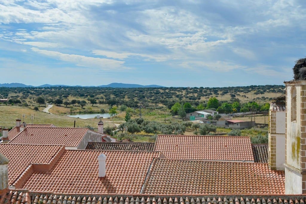 8 bedroom Finca/Country House for sale in Herreruela with pool - € 1,000,000 (Ref: 9595043)