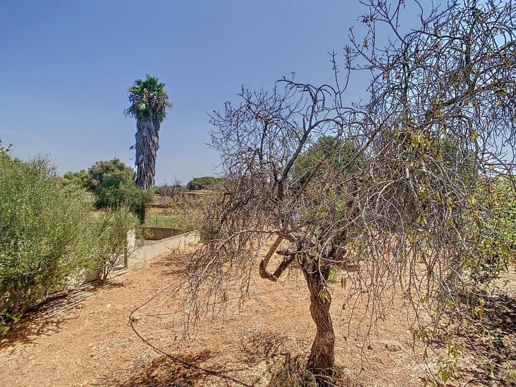 5 soveværelse Villa til salg i Santanyi med swimmingpool garage - € 1.350.000 (Ref: 9595078)