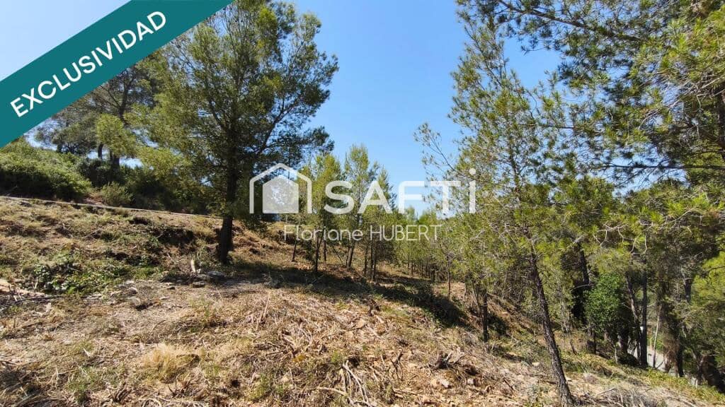 Bouwgrond te koop in Cervello - € 105.000 (Ref: 9595095)