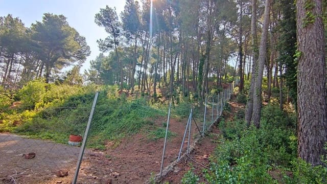 Solar/Parcela en Cervelló en venta - 160.000 € (Ref: 9595098)