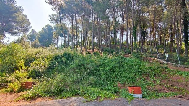 Solar/Parcela en Cervelló en venta - 160.000 € (Ref: 9595098)