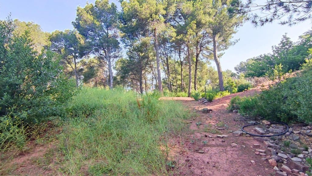 Działka budowlana na sprzedaż w Cervello - 160 000 € (Ref: 9595098)