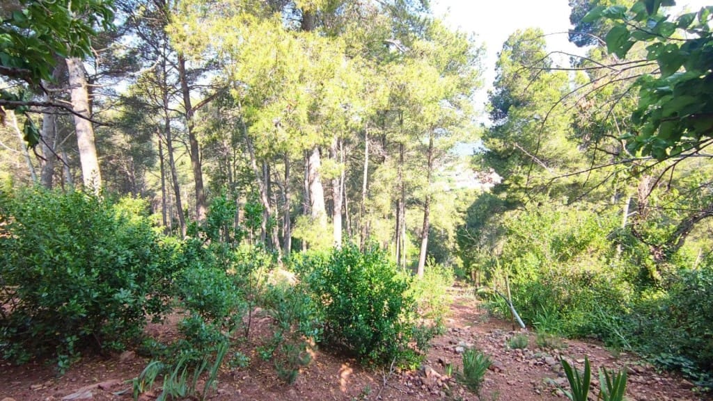 Działka budowlana na sprzedaż w Cervello - 160 000 € (Ref: 9595098)