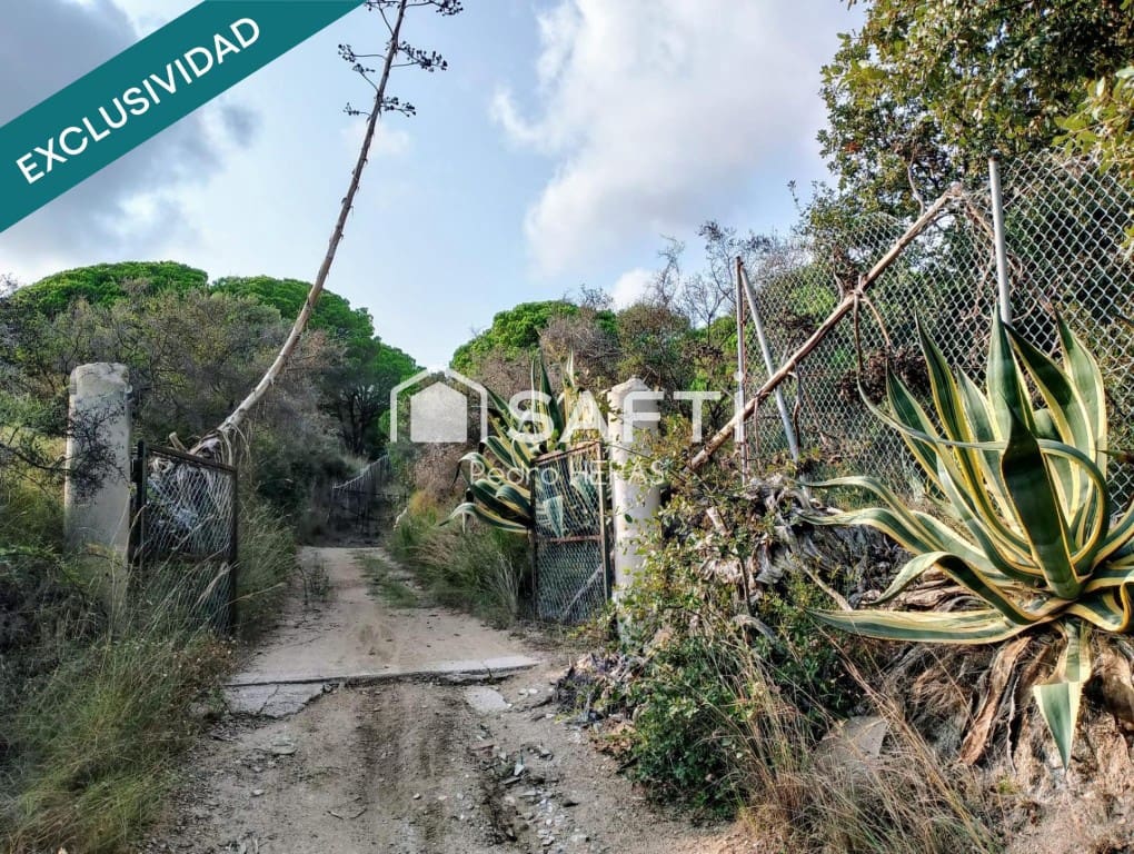 Teren niezagospodarowany na sprzedaż w Sant Pol de Mar - 90 000 € (Ref: 9595112)