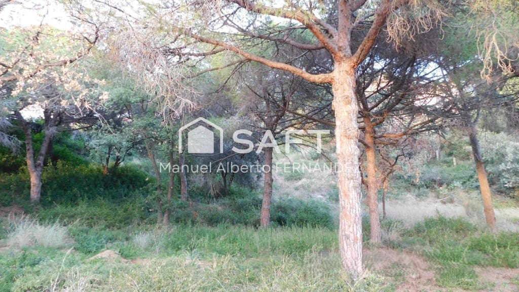 Bouwgrond te koop in Mataro - € 465.000 (Ref: 9595153)