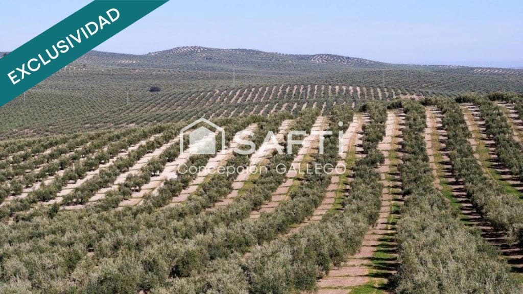 Undeveloped Land for sale in Campo de Criptana - € 8,000 (Ref: 9595272)