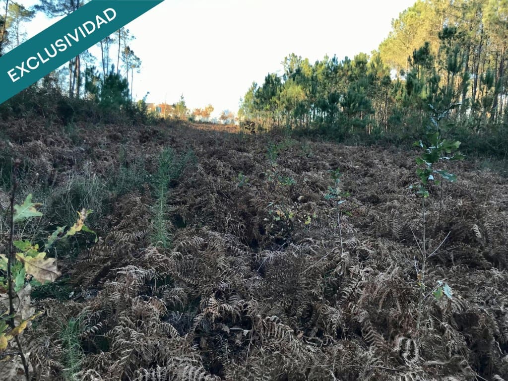 Byggegrund til salg i Noia - € 50.000 (Ref: 9595328)