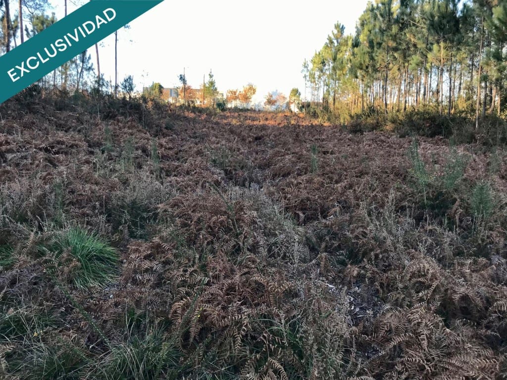 Byggegrund til salg i Noia - € 50.000 (Ref: 9595328)