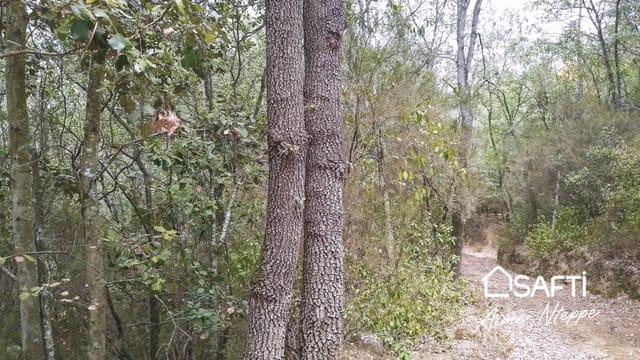 4 soveværelse Finca/Landehus til salg i Sant Julià del Llor i Bonmatí - € 99.860 (Ref: 9595350)