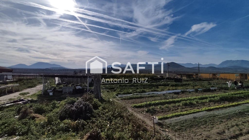 Terre non Aménagée à vendre à Ubeda - 285 000 € (Ref: 9595465)