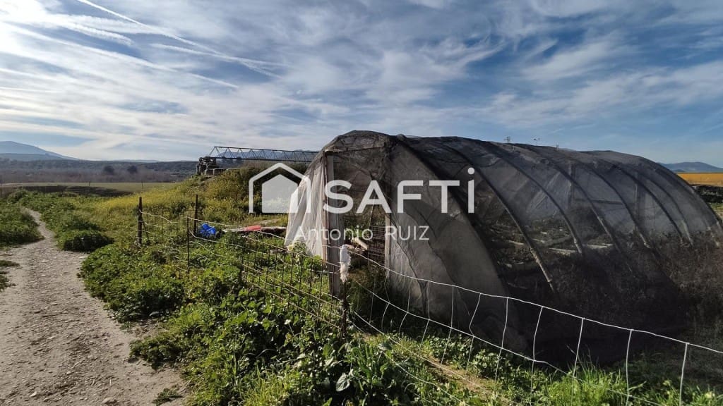 Terre non Aménagée à vendre à Ubeda - 285 000 € (Ref: 9595465)