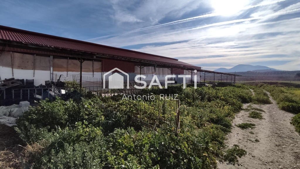 Terre non Aménagée à vendre à Ubeda - 285 000 € (Ref: 9595465)