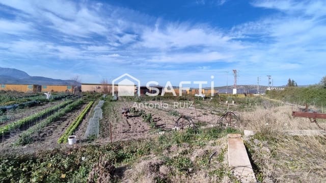 Terre non Aménagée à vendre à Ubeda - 285 000 € (Ref: 9595465)