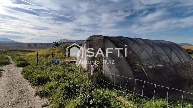 Terre non Aménagée à vendre à Ubeda - 285 000 € (Ref: 9595465)