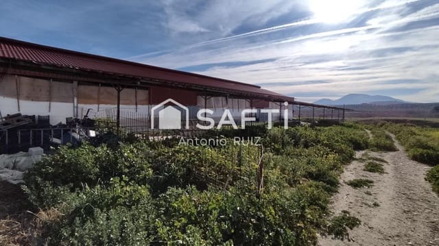 Terre non Aménagée à vendre à Ubeda - 285 000 € (Ref: 9595465)