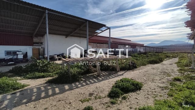 Terre non Aménagée à vendre à Ubeda - 285 000 € (Ref: 9595465)