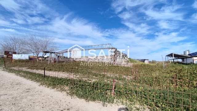 Terre non Aménagée à vendre à Ubeda - 285 000 € (Ref: 9595465)